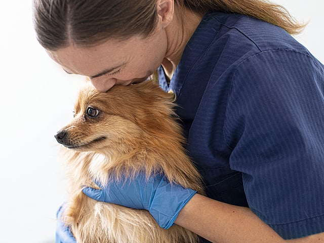 Een persoon in blauwe scrubs die een hond kussen.