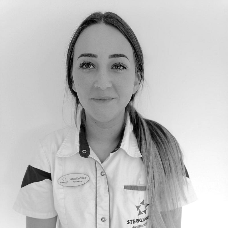 Photo of Lisanne Koedooder, Paraveterinair
