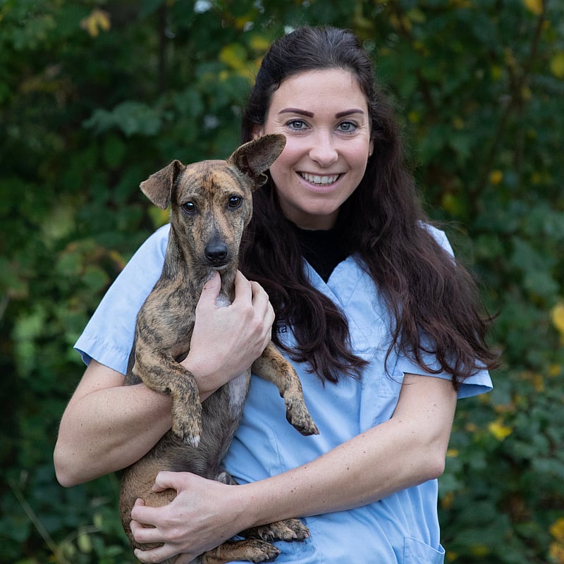 Photo of Mireille Wibier, Paraveterinair