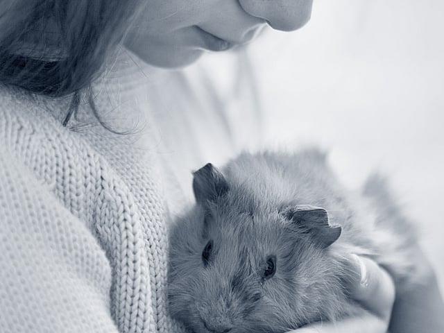 Een kind dat een hamster vasthoudt.