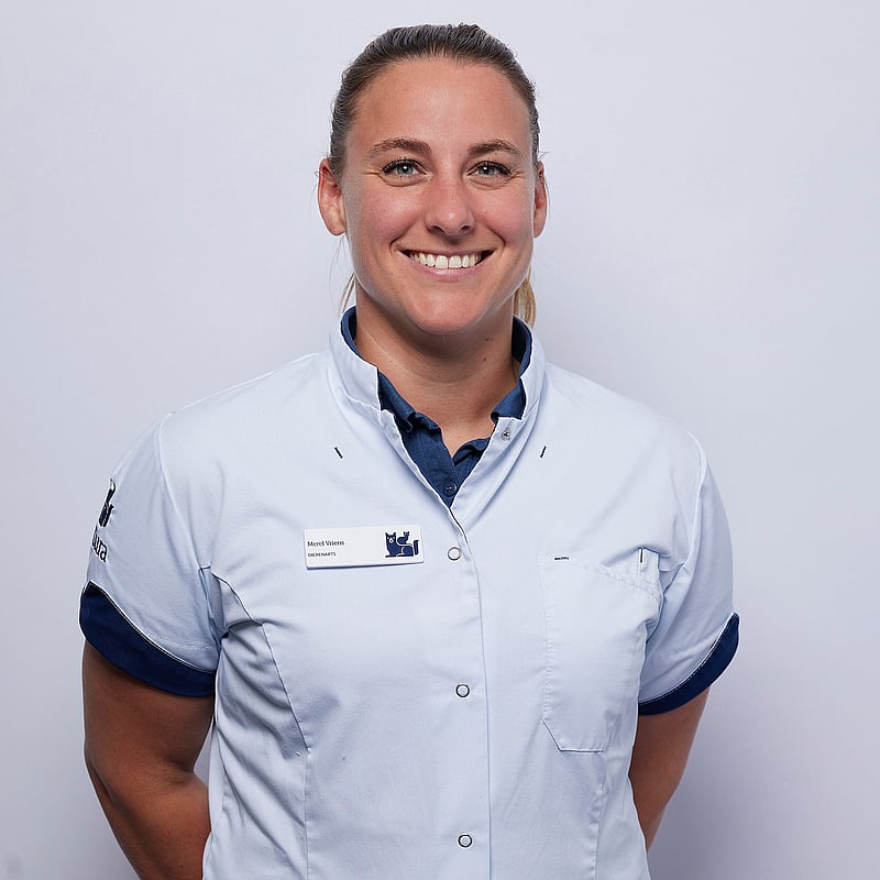 Foto van Merel Vriens, Dierenarts