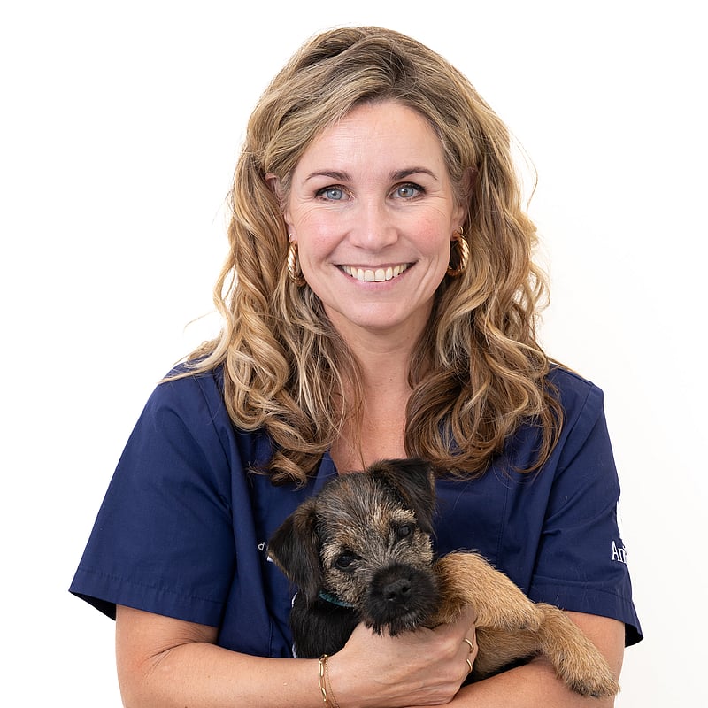 Photo of José Hammer, Veterinair Team Receptie
