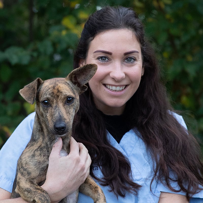 Photo of Mireille Wibier, Paraveterinair