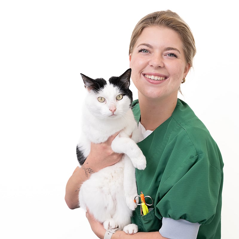 Photo of Jill Visser, Paraveterinair