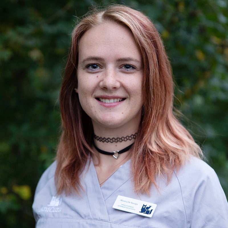 Photo of Monica de Nooijer, Paraveterinair