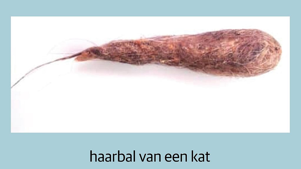 Een bruin object met een lange staart.