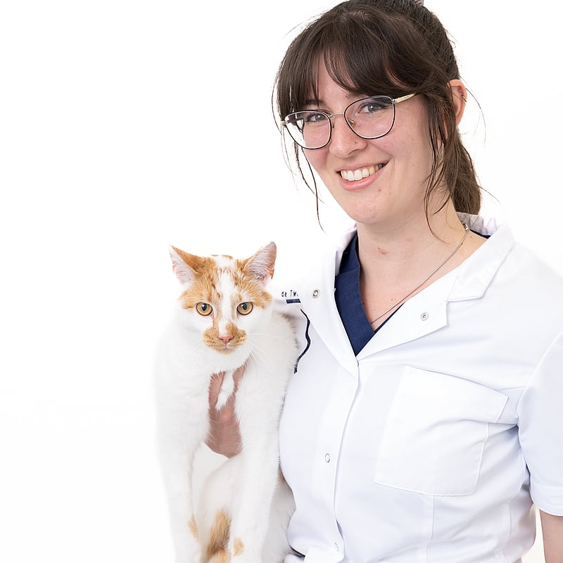 Foto van Joshka Wolfs, Dierenarts