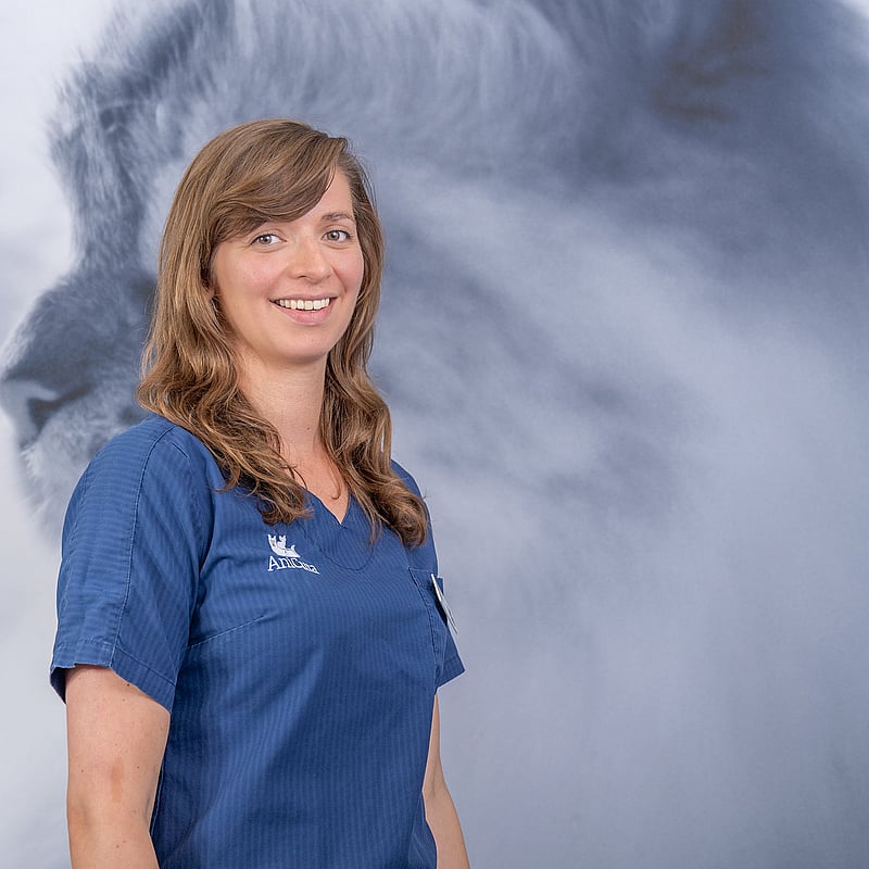 Photo of Brigitta, Dierenarts