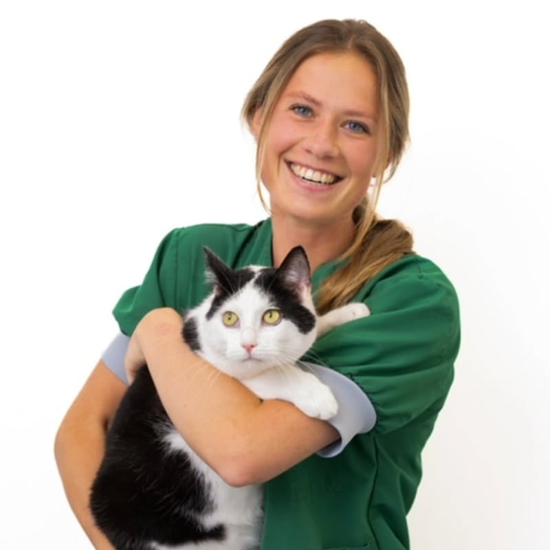 Photo of Naomie Dijkhof, Paraveterinair