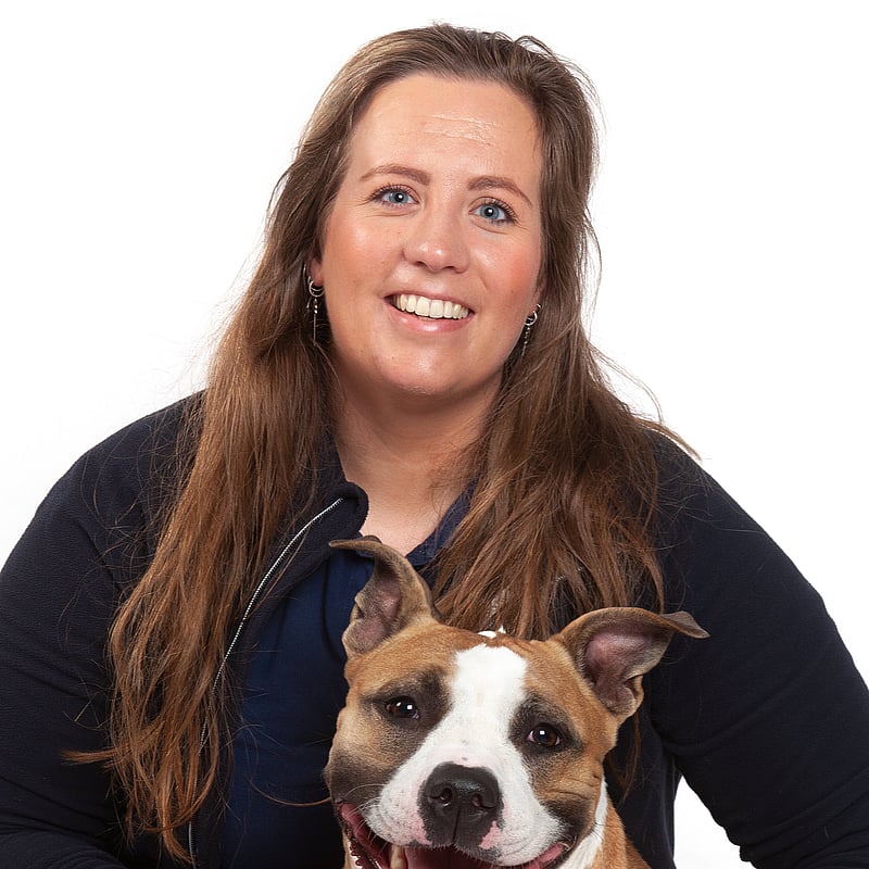 Photo of Judith Kroon, Veterinair Team Receptie