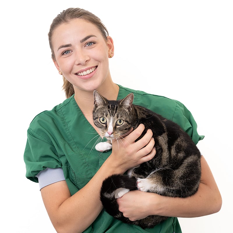Photo of Gwyn Kilsdonk, Paraveterinair