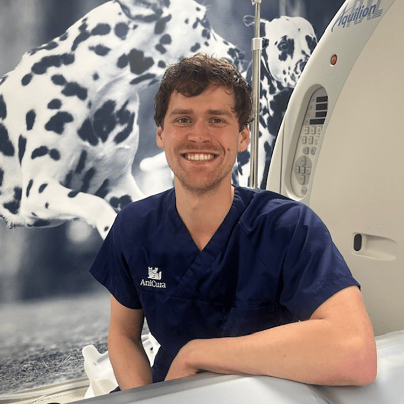 Photo of Timothy Baalbergen, Dierenarts