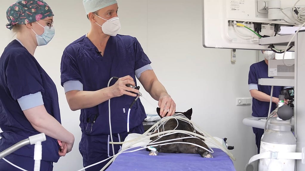 Een persoon in scrubs en masker die een object met draden vasthoudt.