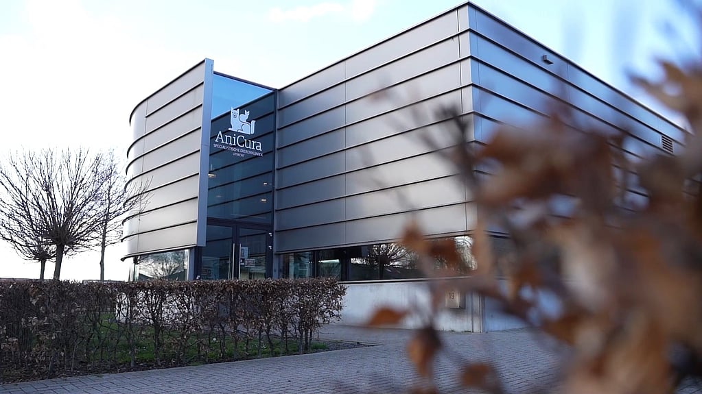 Een gebouw met een glazen deur.