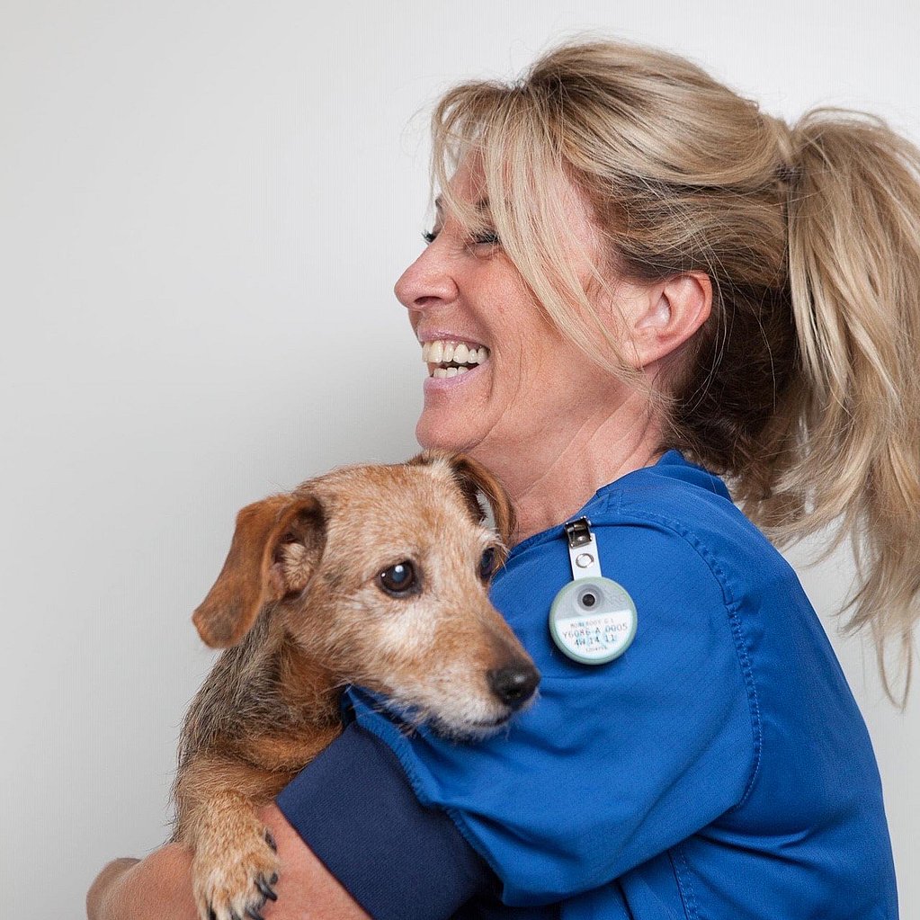 Een persoon die een hond vasthoudt.