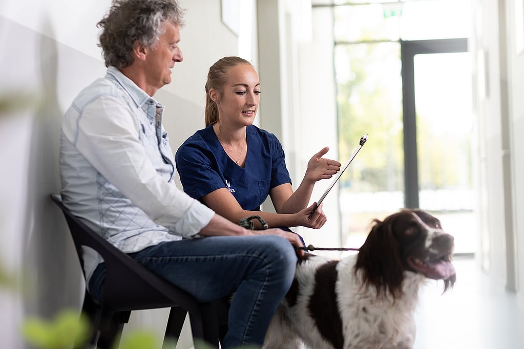 Een persoon en persoon zittend op een stoel met een hond.