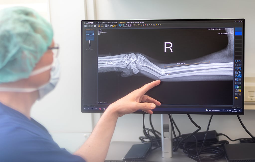 Een persoon die naar een computerscherm wijst.