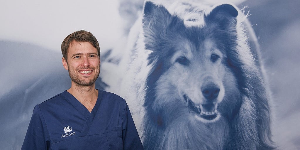 Een persoon in een blauw gewaad die zich voor een foto van een hond bevindt.