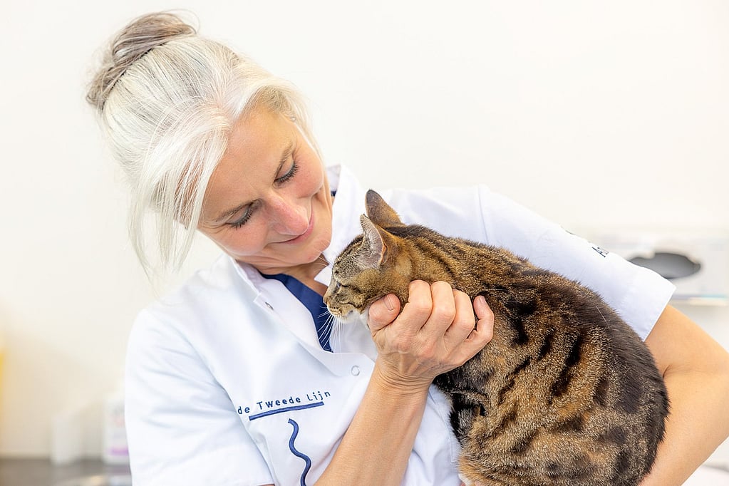 Een persoon die een kat vasthoudt.