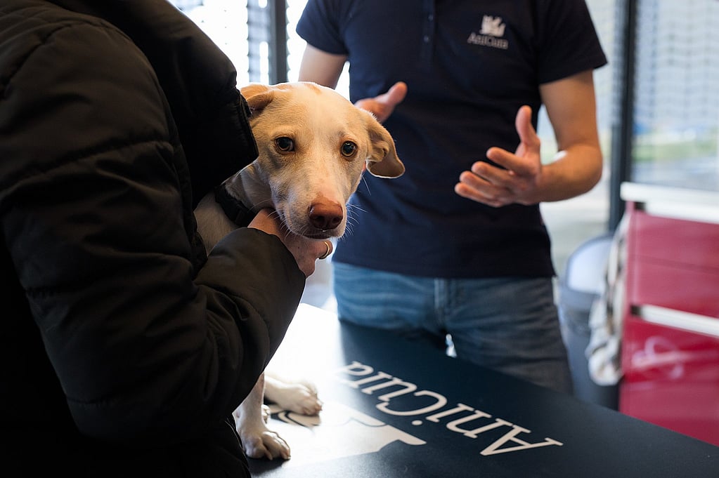 Een persoon die een hond vasthoudt.