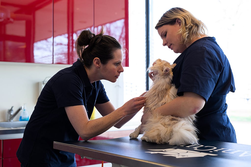 Een persoon die een hond vasthoudt.