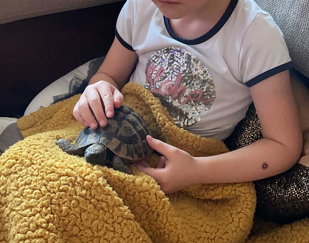 Een kind dat een schildpad vasthoudt.
