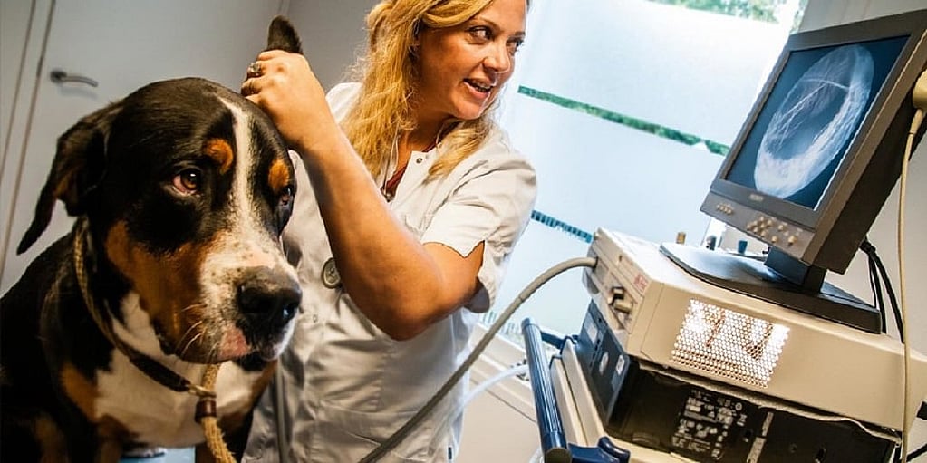 Een persoon in een witte jas met een hond.