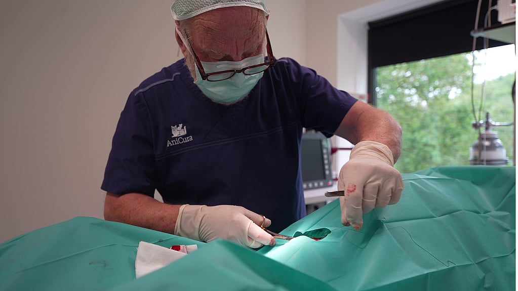 Een persoon met een masker en handschoenen die een groene doek snijden.