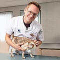 Photo of Marc Brand, Dierenarts