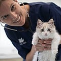 Photo of Floor Stembert, Dierenarts - Praktijkmanager
