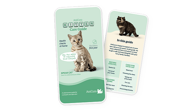 Een kaart met de verzorgingsgids voor katten.