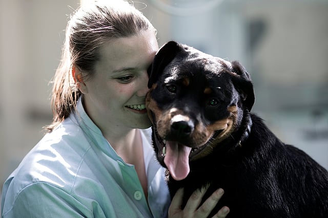 hond