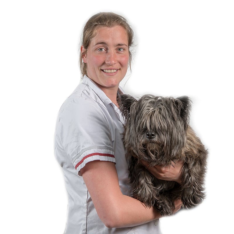 Photo of Susan van der Vrande, Dierenarts