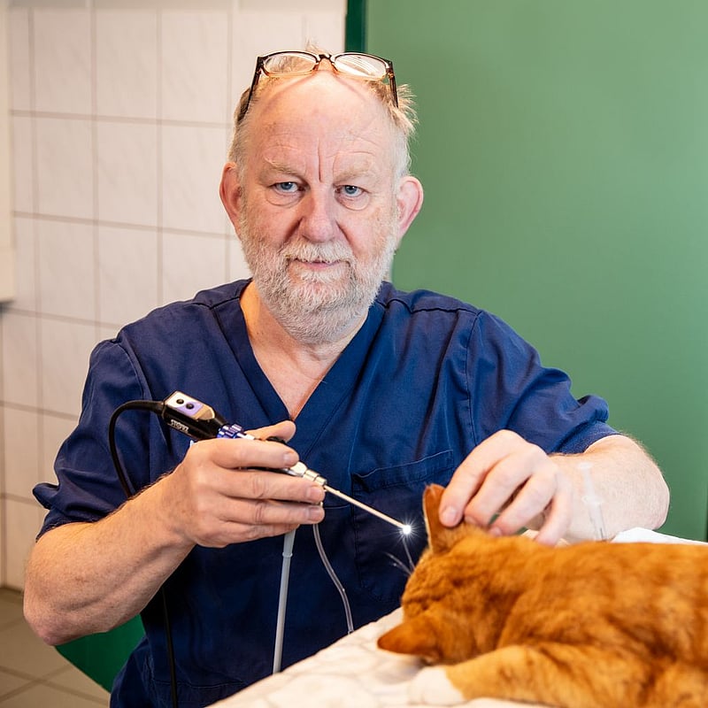 Photo of Egidius Wientjes, Dierenarts