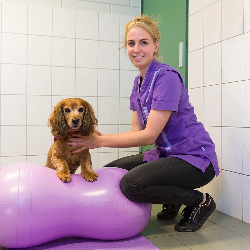 Photo of Mirjam Wesseling, Dierfysiotherapeut