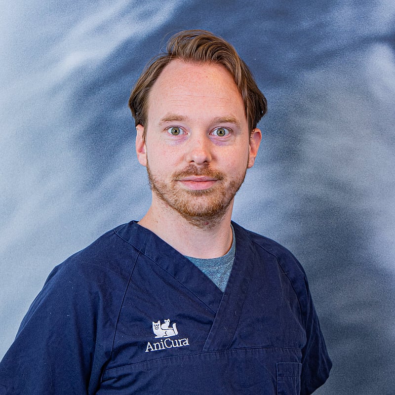 Photo of Niels Groesser, Dierenarts