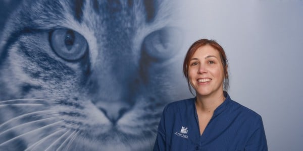 Een persoon die voor een kat lacht.