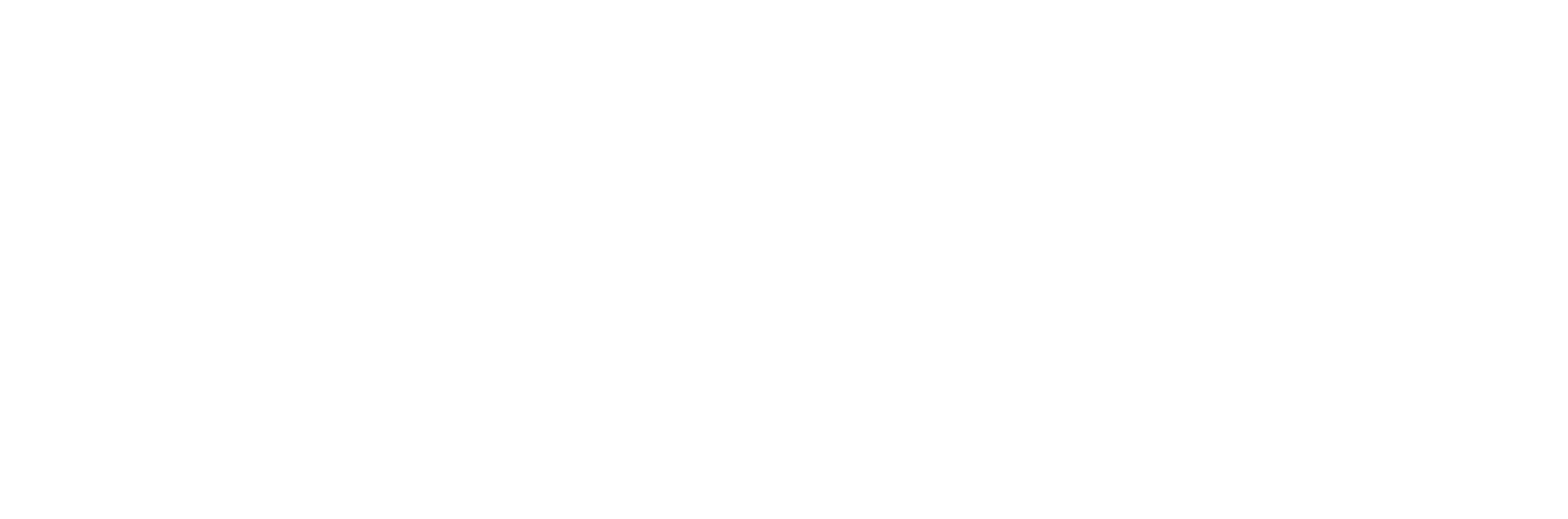 AniCura Noordwijk logo