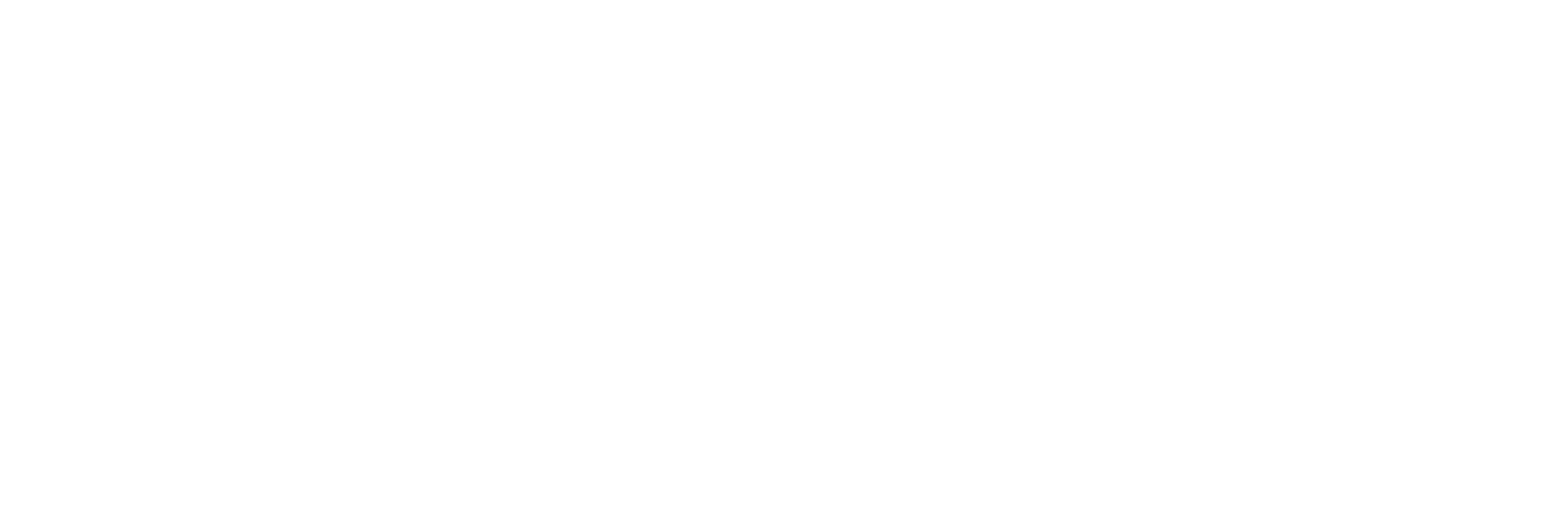AniCura Zierikzee logo