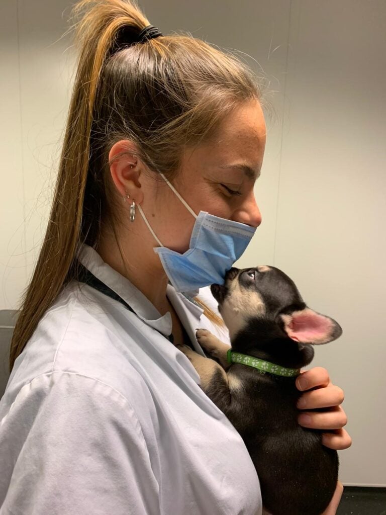 Een persoon die een masker draagt en een hond vasthoudt.