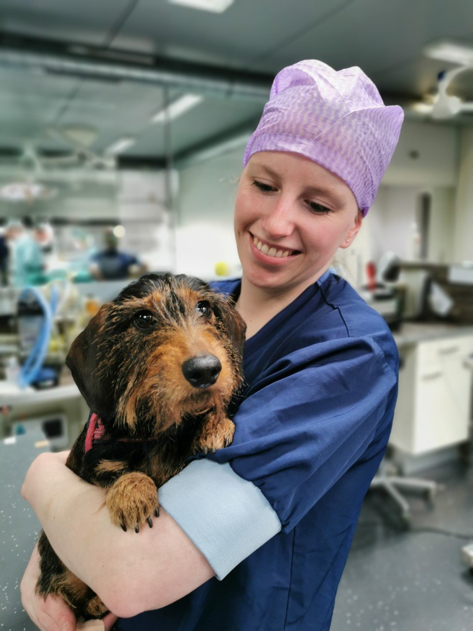 Een persoon die een hond vasthoudt.