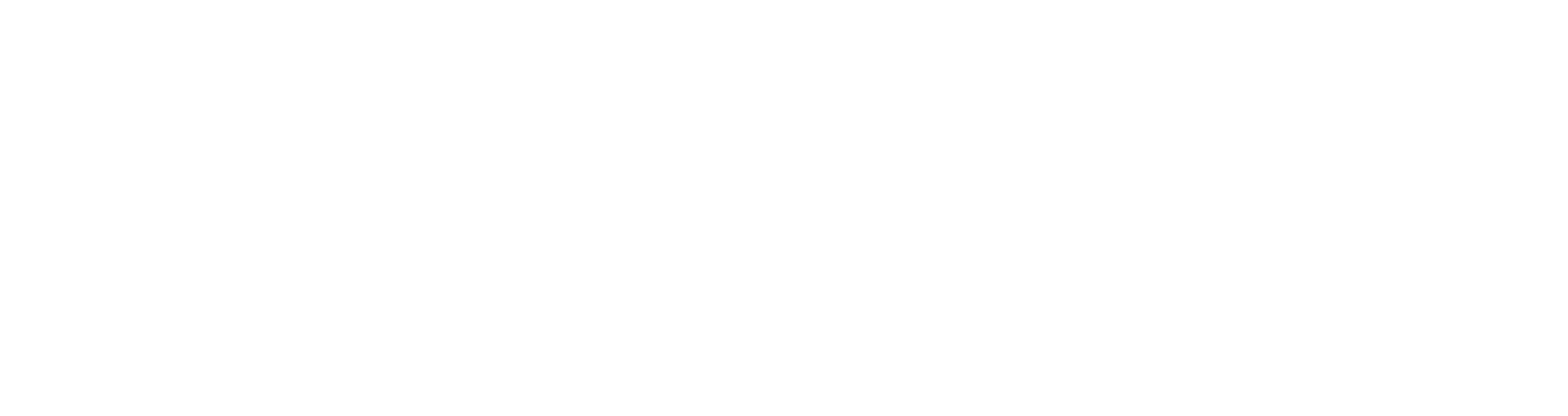 AniCura Diergeneeskundig Centrum Hopmans - Hoogkerk logo