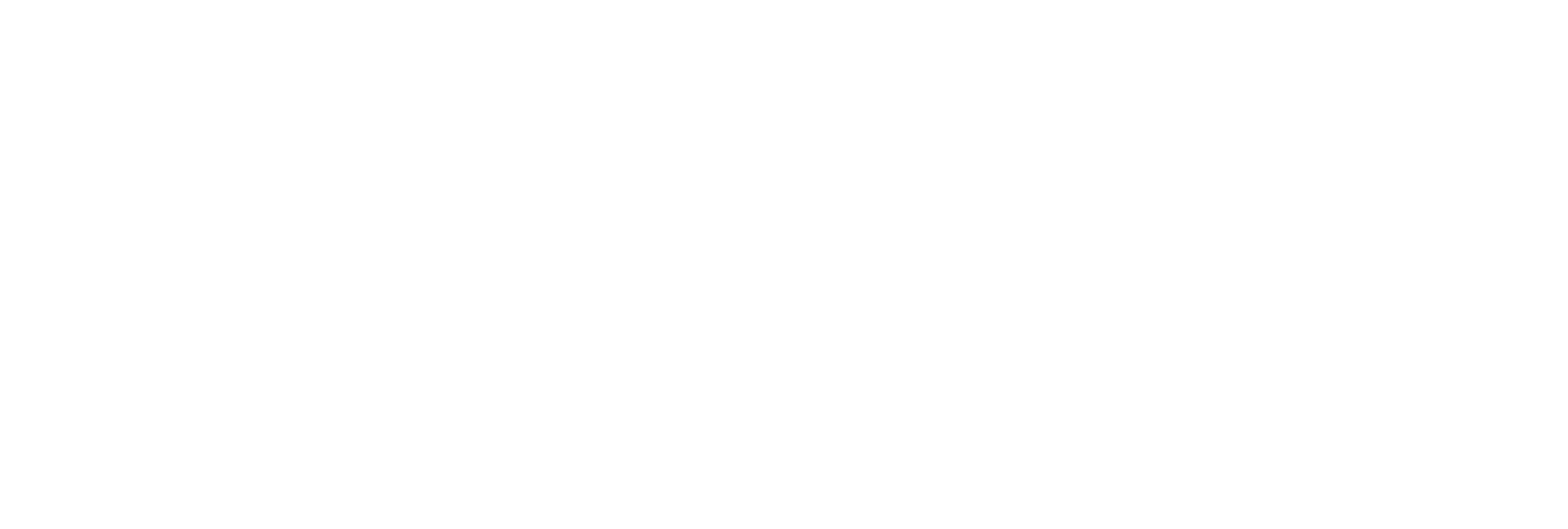 AniCura Dierenziekenhuis Drechtstreek - Centrum logo