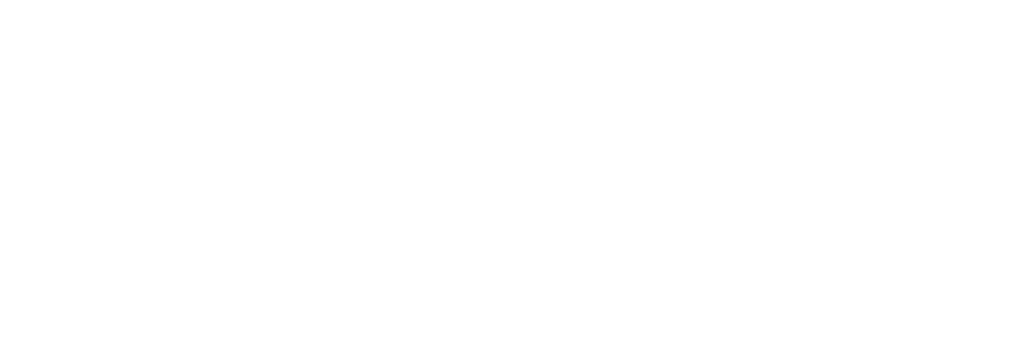 AniCura Dierenziekenhuis Zeeuws-Vlaanderen logo