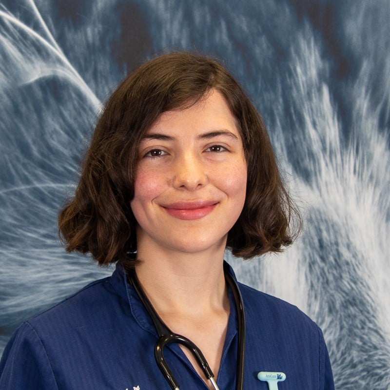 Photo of Samantha Bustos Rƶhrig, Dierenarts