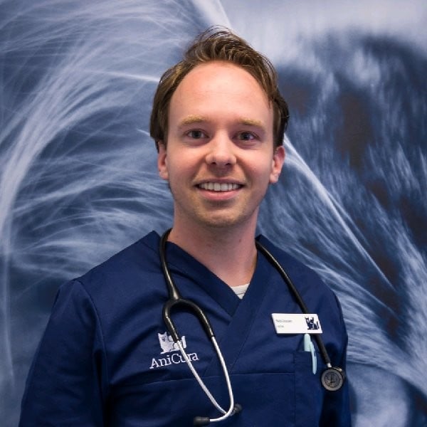 Photo of Niels Groesser, Dierenarts