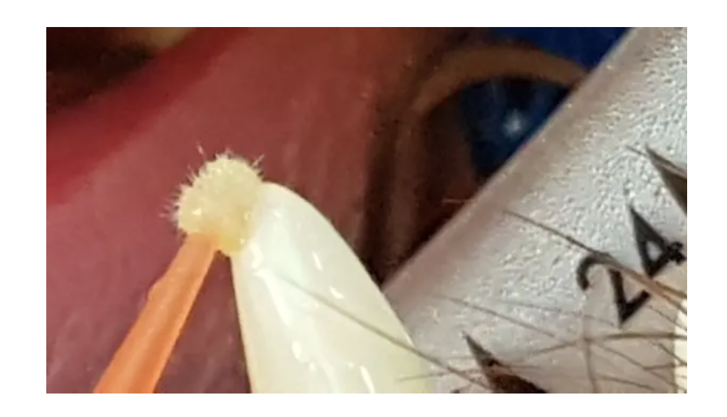 Een close-up van een tandenstoker.