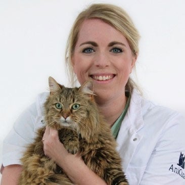 Photo of Tessa Logtenberg, Dierenarts Specialist In Opleiding