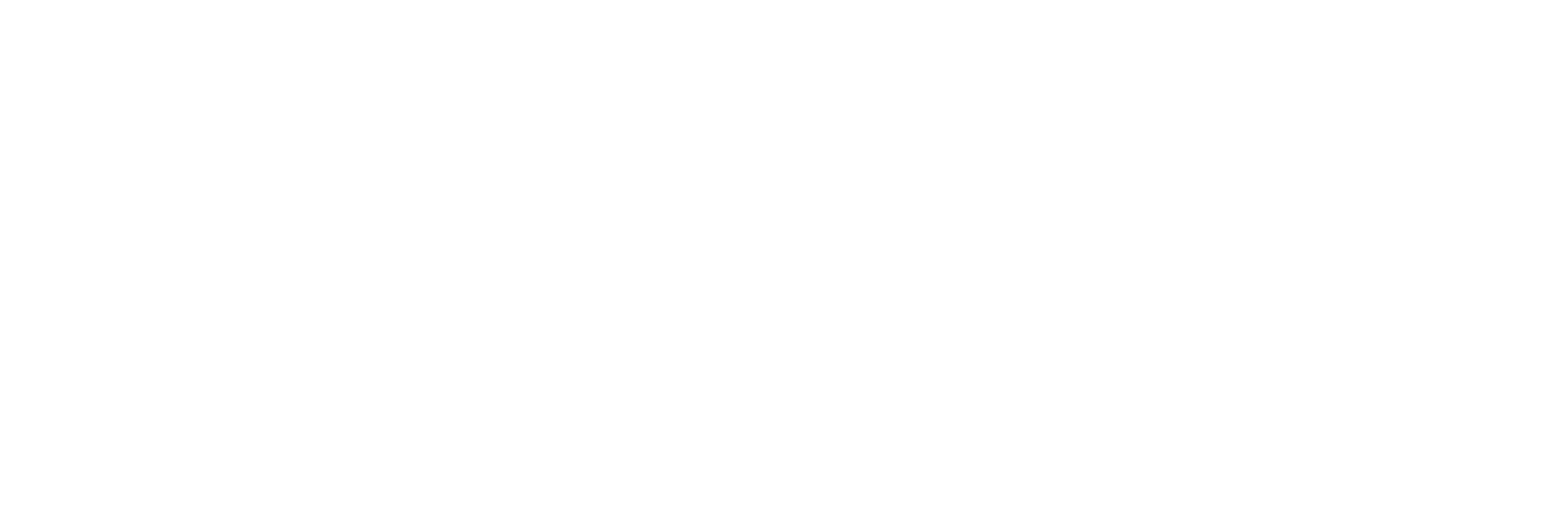 AniCura Hoofddorp - Hoofdvaart logo