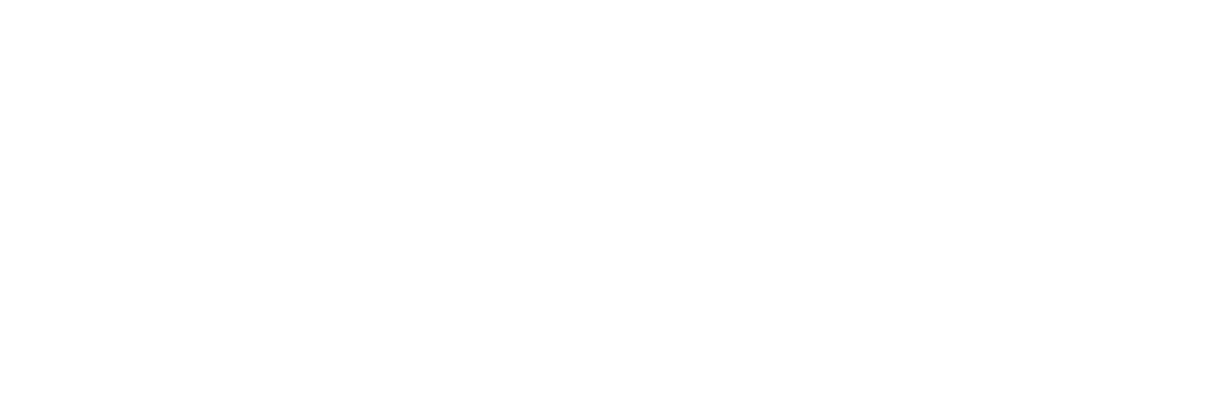 AniCura DC Hopmans - Roden logo